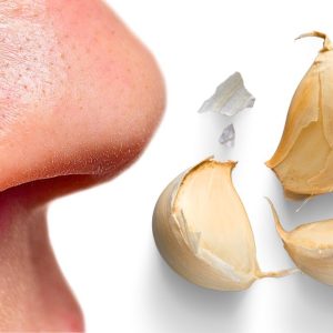 Garlic: The Odour That Keeps You Living