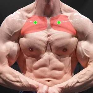 Grow Your UPPER CHEST With Push-Ups
