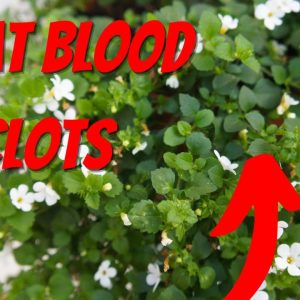 How Do You Treat Blood Clots Naturally ?