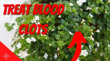 How Do You Treat Blood Clots Naturally ?