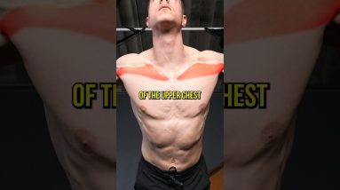 How To Grow A Bigger Chest With Calisthenics