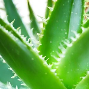 Natural Ways to Treat Sun Tan and Maintain Skin Health