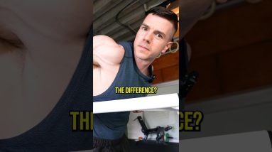 Push-Ups or Dips? 🤔