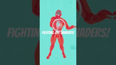 Natural immunity boosters #ImmunityBoost #NaturalHealth #ImmuneSupport #HealthyLiving #WellnessTips