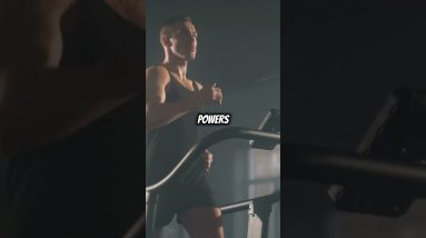 Mushroom Muscles #mushroom #mushrooms #mushroommuscle #muscle #bodybuilding #musclebuilding