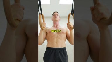 Unusual Exercise For Back