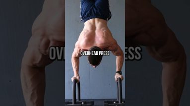 What's The Best Overhead Press? 🤔