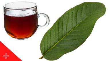 Why You Should Be Drinking Guava Leaf Tea