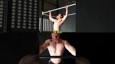 Best Calisthenics & Gym Exercises