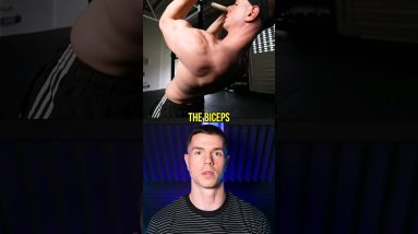 Bodyweight Curls For Biceps?