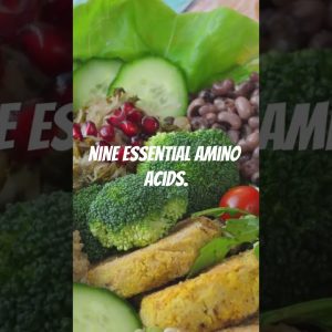 6 suprising facts about vegan protein #creatorsearchinsights #vegan #veganprotein #proteinshakes