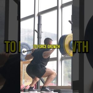 Why You Should Squat