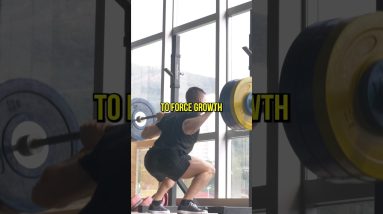 Why You Should Squat