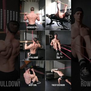 6 Best Resistance Band Exercises