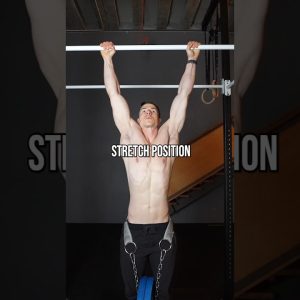 How To Maximise Muscle Growth