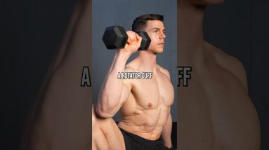 How To Strengthen Your Shoulders