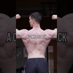 Back Training Complete Guide
