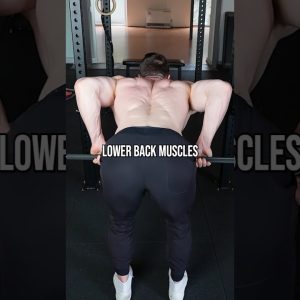 Don't Skip This On Back Day