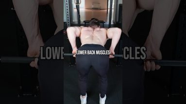 Don't Skip This On Back Day