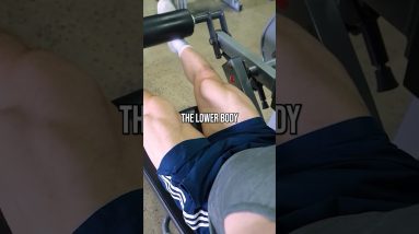 Never Skip Leg Day Bro!