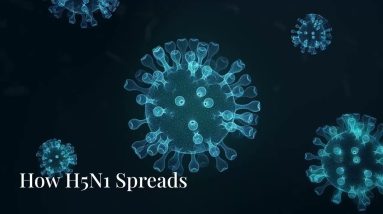 Understanding H5N1 Bird Flu: A Critical Public Health Concern