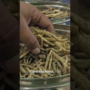 Adaptogens Explained: Can They Really Reduce Stress? 🤯🌱 #health #adaptogens #stressrelief