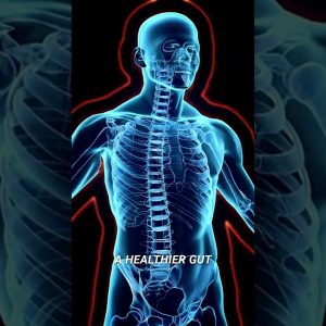 Why You Should Eat More Prebiotic Foods for Gut Health 🥦💚