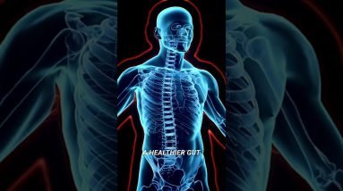 Why You Should Eat More Prebiotic Foods for Gut Health 🥦💚