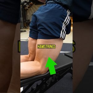 Best Hamstrings Exercise