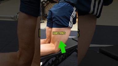 Best Hamstrings Exercise