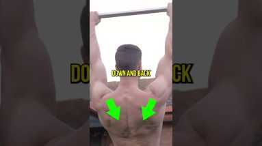 Improve Your Pull-Up Instantly