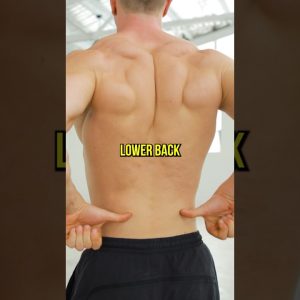 Strengthen Your Lower Back At Home