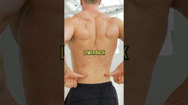 Strengthen Your Lower Back At Home