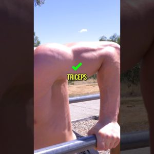 Top 3 Triceps Exercises For Bigger Arms