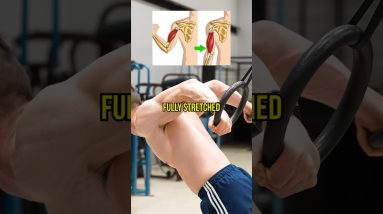 Unusual Biceps Exercise